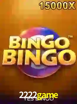 bingobingo